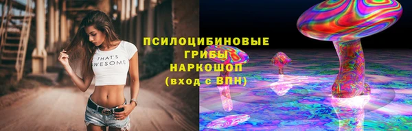 молекула духа Мегион