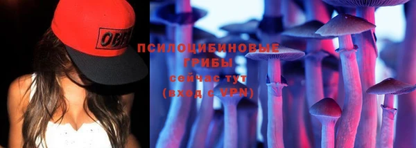 молекула духа Мегион