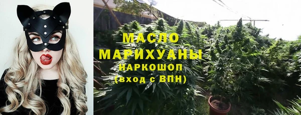 молекула духа Мегион