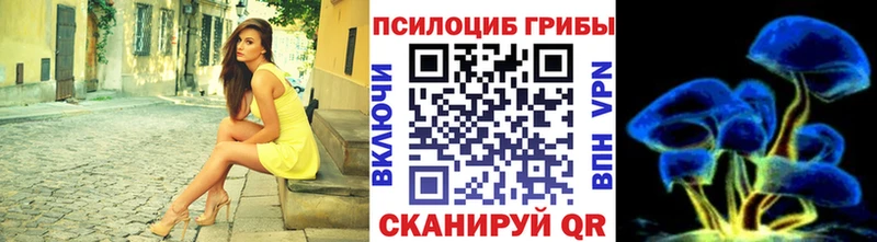 Купить  Касли  Псилоцибиновые грибы ЛСД 